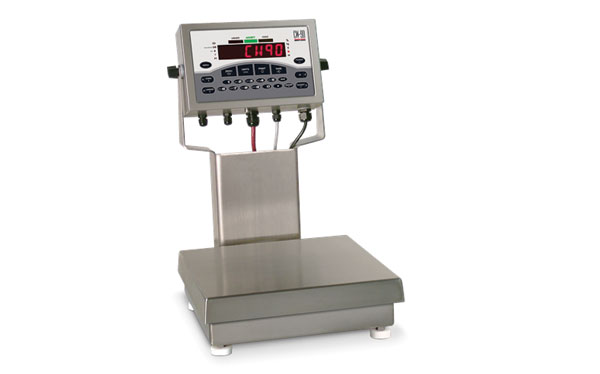 Checkweigher Scales